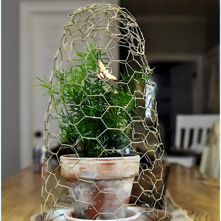 How to DIY Chicken Wire Cloche For Garden (Step-by-Step Guide)