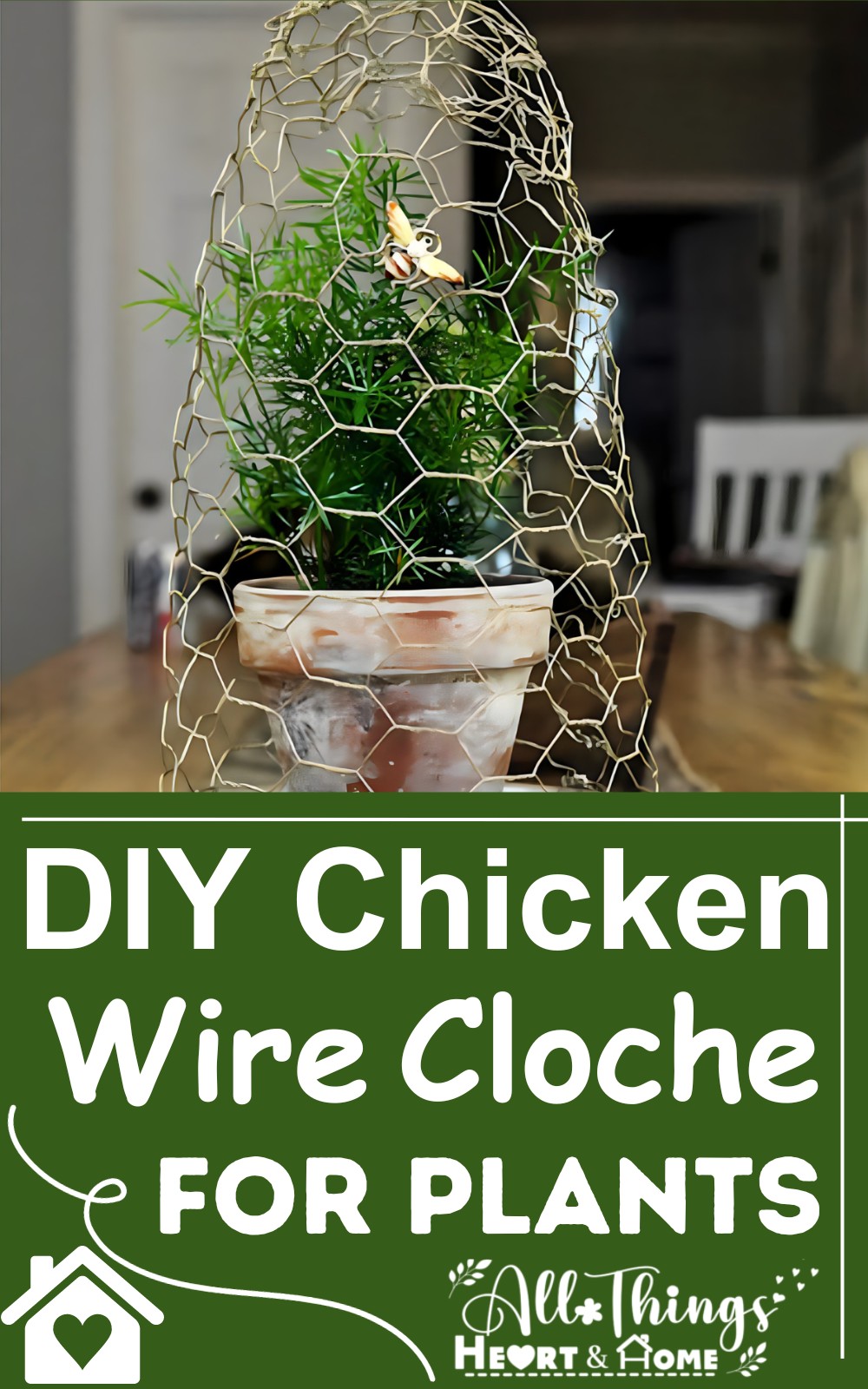 DIY Chicken Wire Cloche For Plants To Keep Them Safe