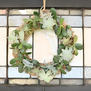 DIY Living Succulent Wreath Tutorial For Beginners