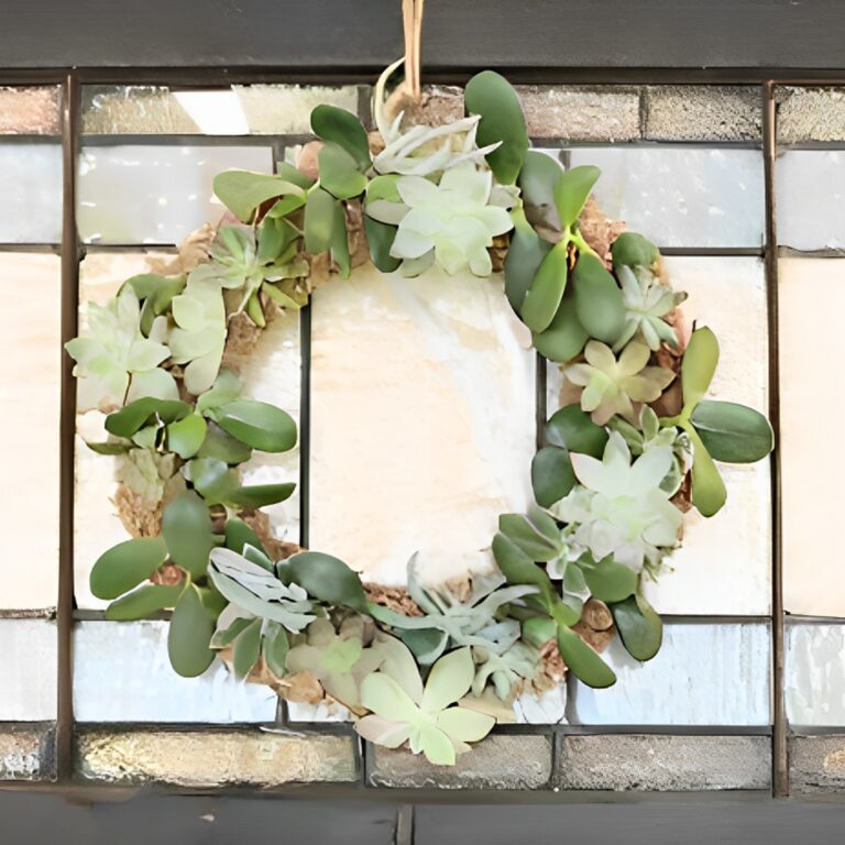 DIY Living Succulent Wreath Tutorial For Beginners