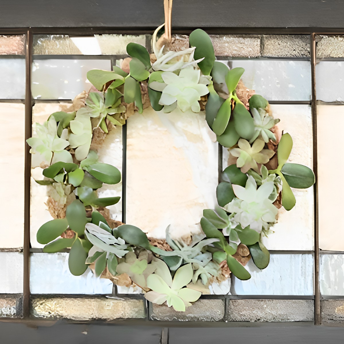 DIY Living Succulent Wreath Tutorial For Beginners