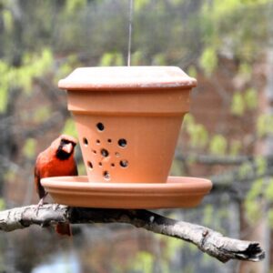 How to DIY Terracotta Bird Feeder - Complete Tutorial