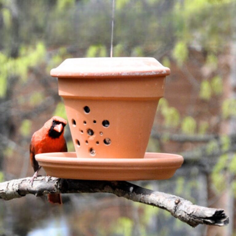 How to DIY Terracotta Bird Feeder - Complete Tutorial
