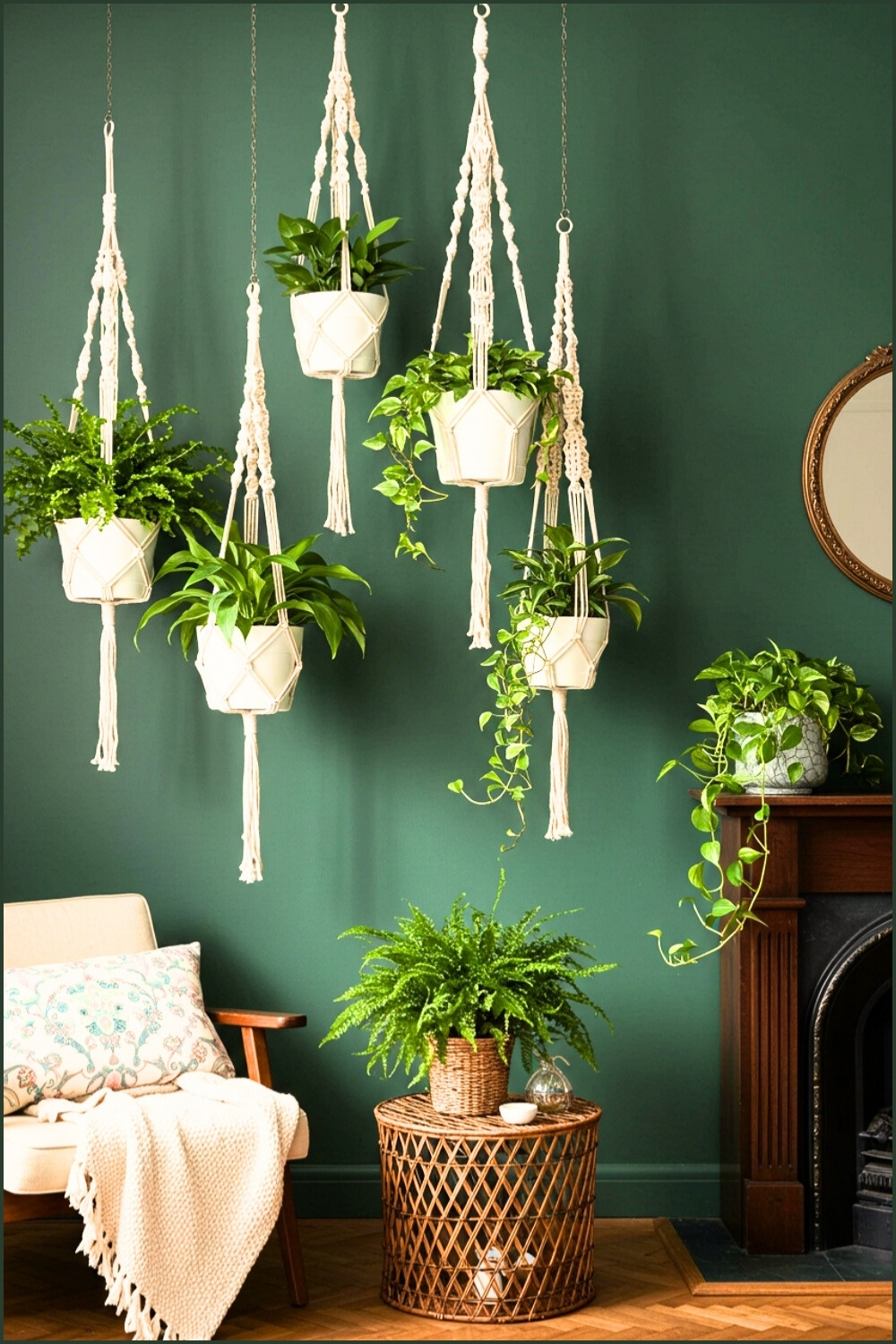 Cozy Eclectic LivinSerene Space Macramé Plant Hangersg Room Stunning Design Elements