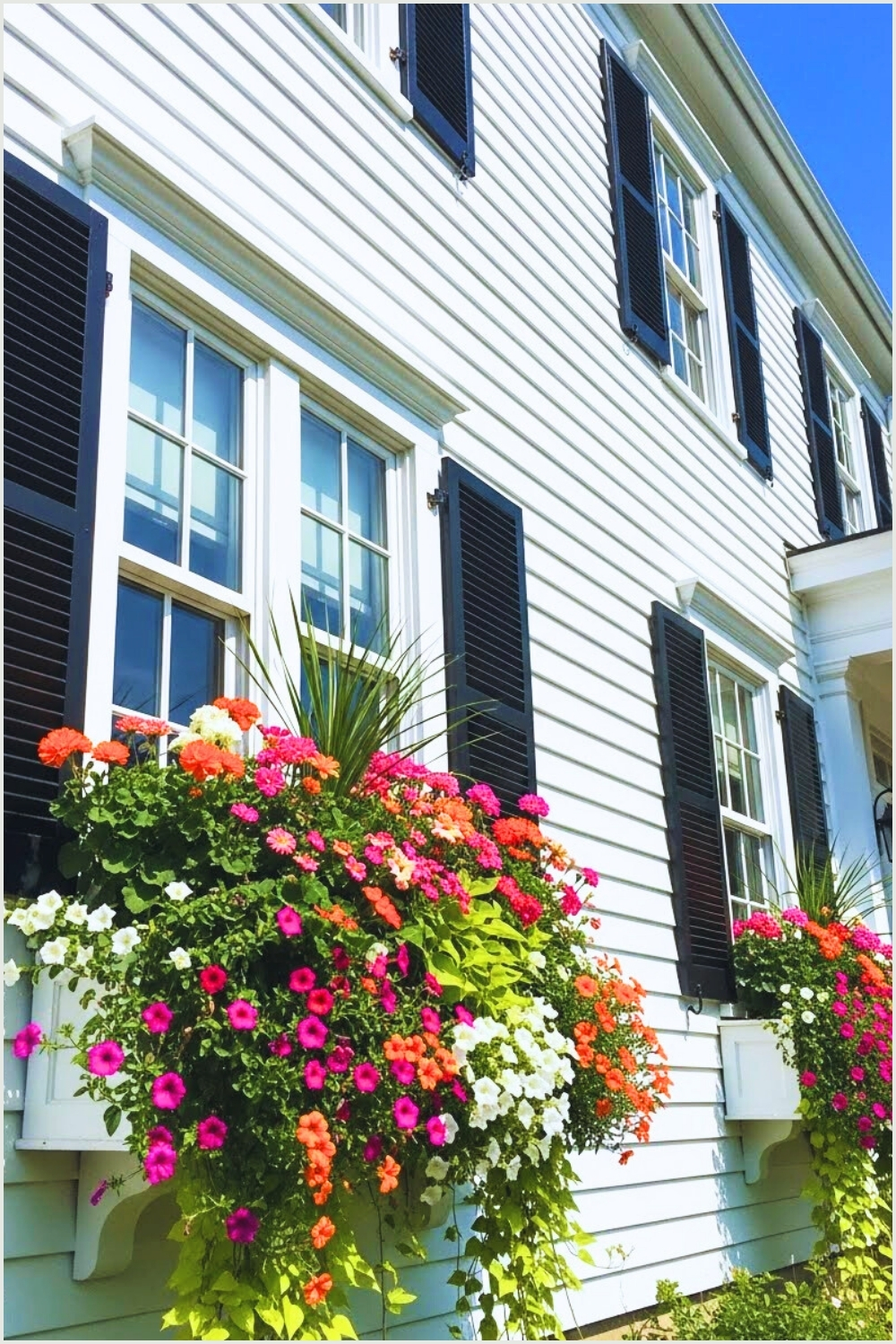 Classic White Clapboard House Exterior Black Shutters