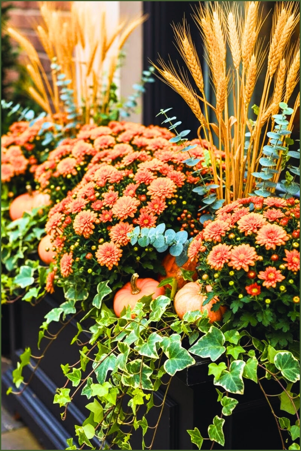 Front Window Planter Overflowing With Orange Mums