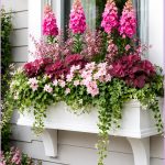 Charming Cottage Garden Window Box