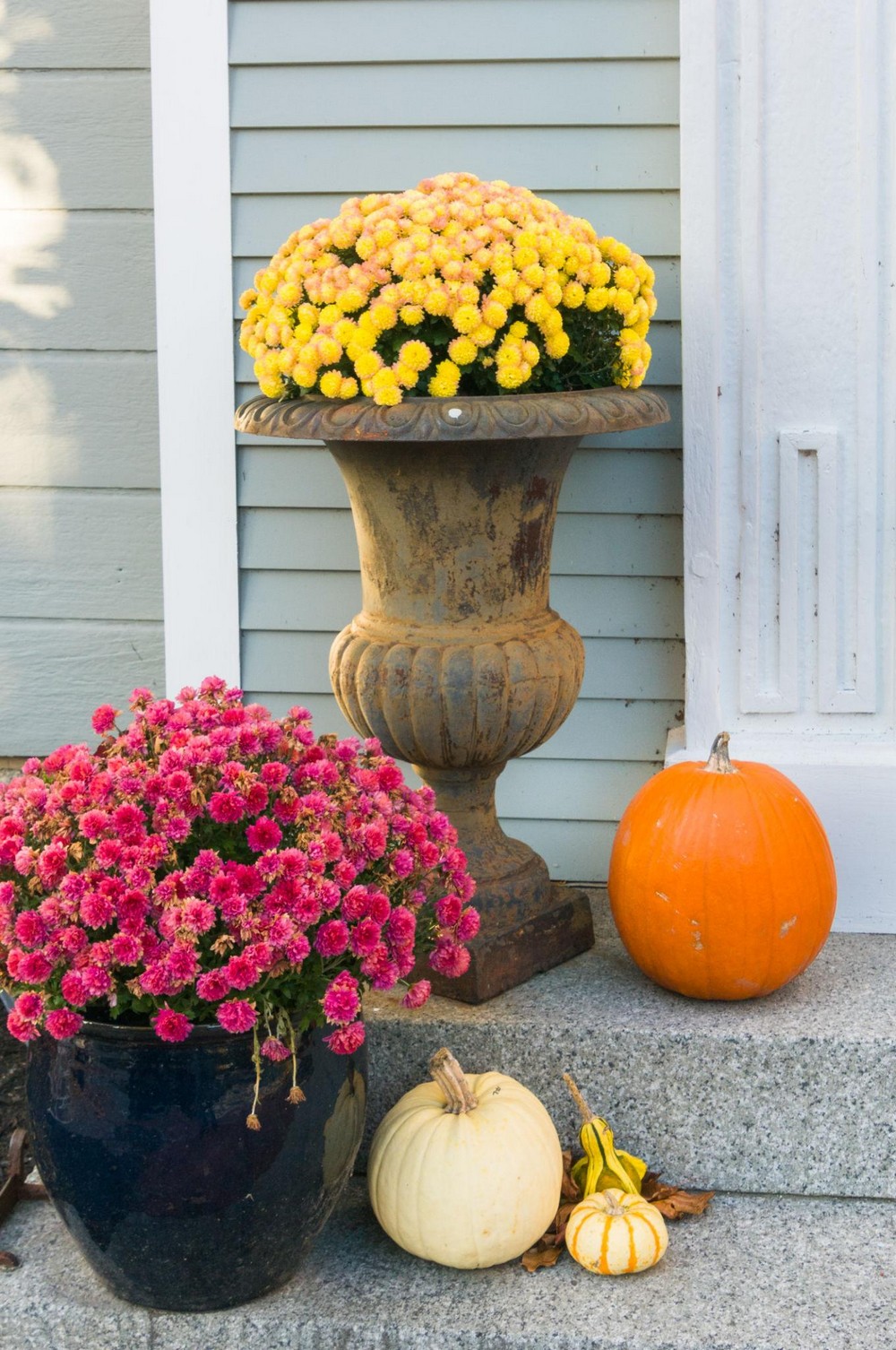 Mums and Greenery for Softness