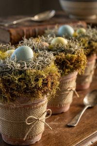 Charming Bird Nests in Flower Pots