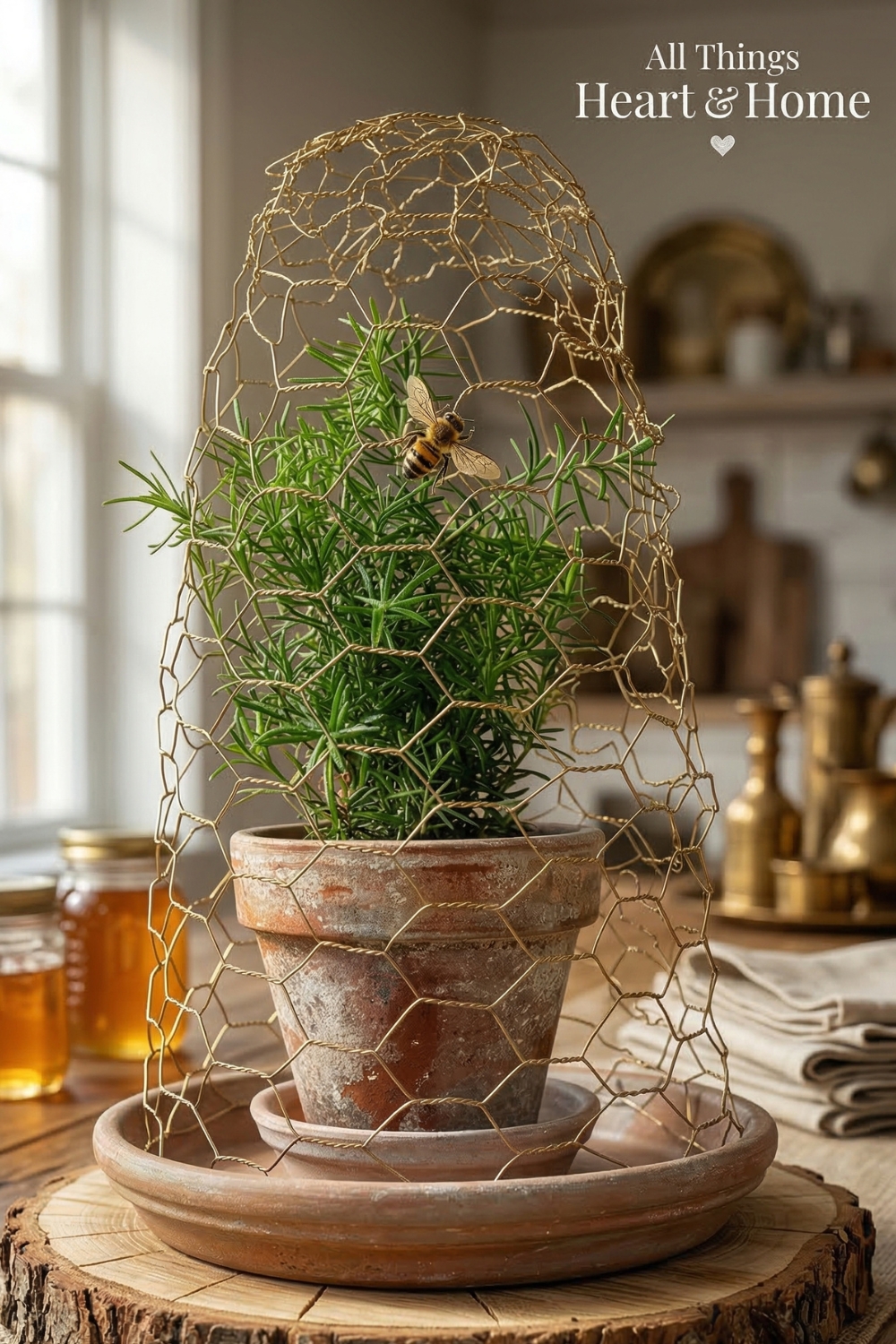 DIY Chicken Wire Cloche
