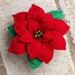 Crochet Poinsettia