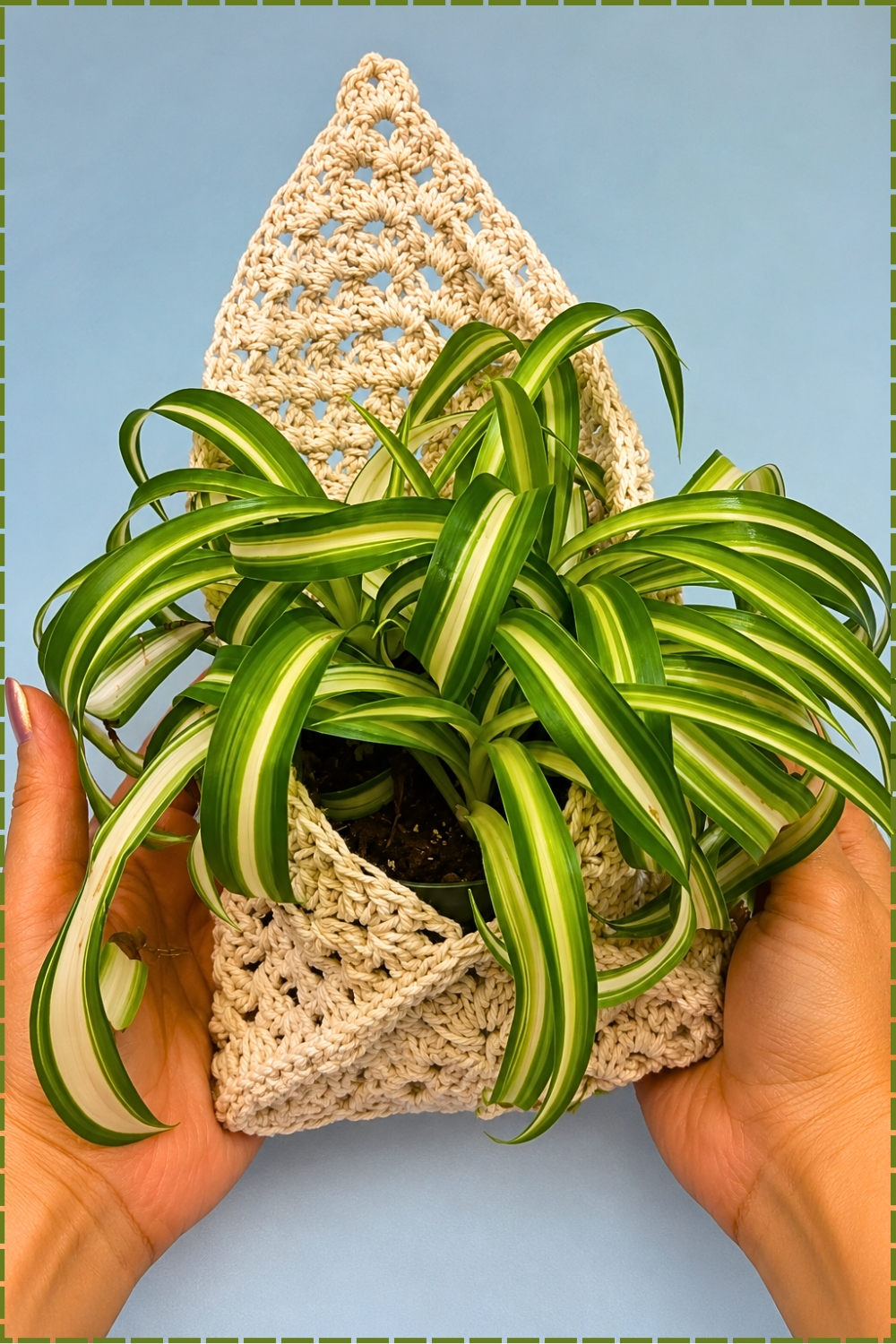 Crochet a Plant Hanger