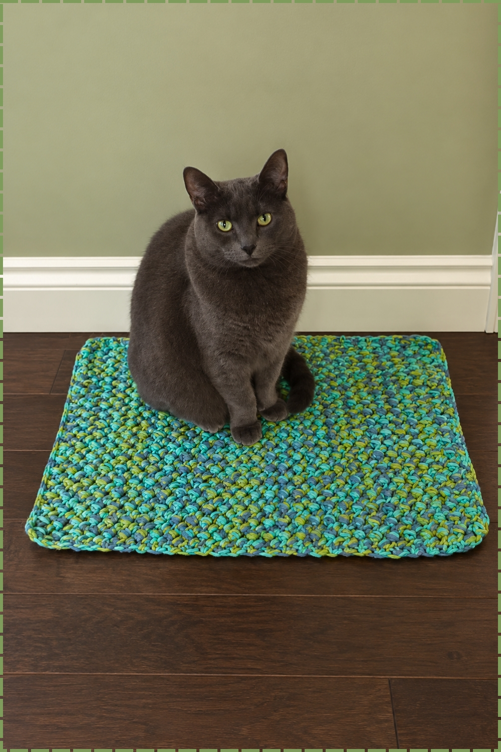 Dense Crochet Floor Area Mat and Rug Pattern